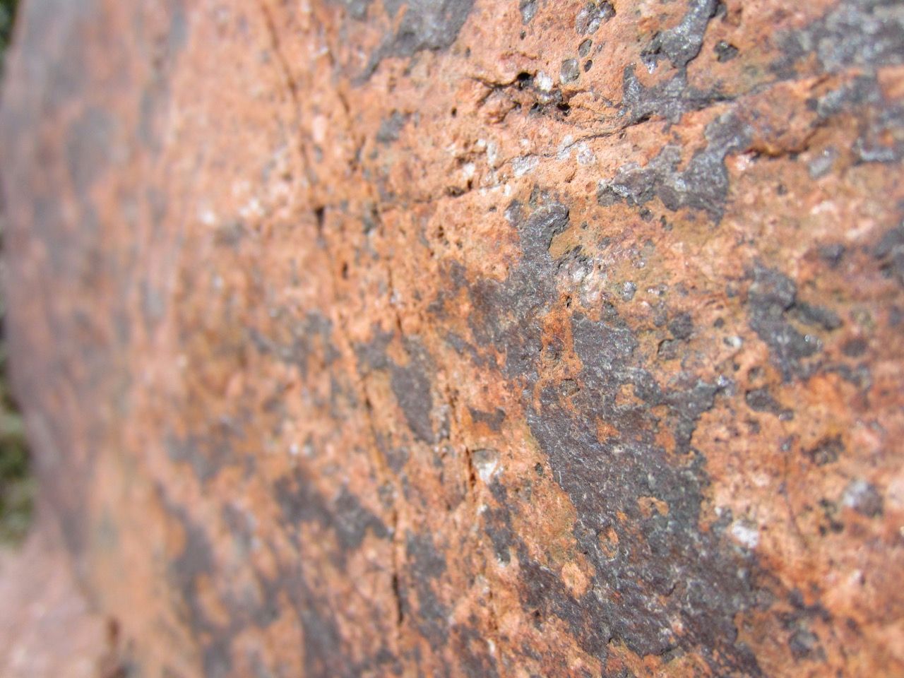 A close-up of a rock showing its texture.
