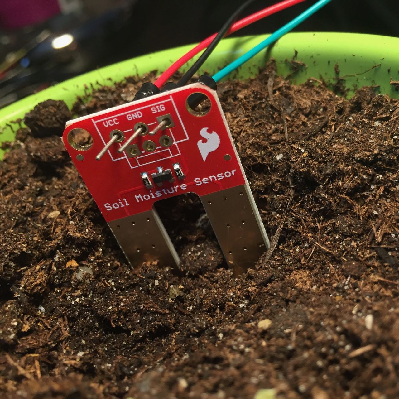 Close-up of the sensor pins. They are temporarily connected using breadboard wires.