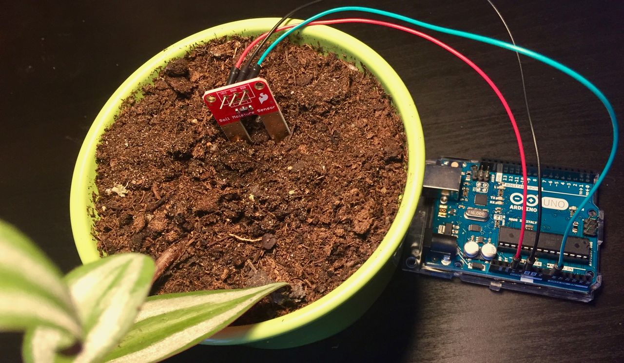 The soil moisture sensor embedded in a potted plant with temporary connections to an Arduino Uno.