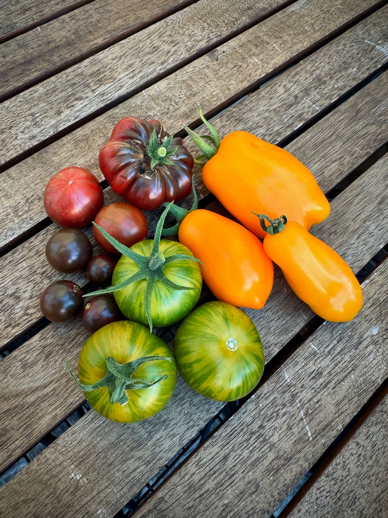 A bouquet of different varieties. Black opal, purple bumblebee, yellow banana legs, green zebra, Cherokee purple.