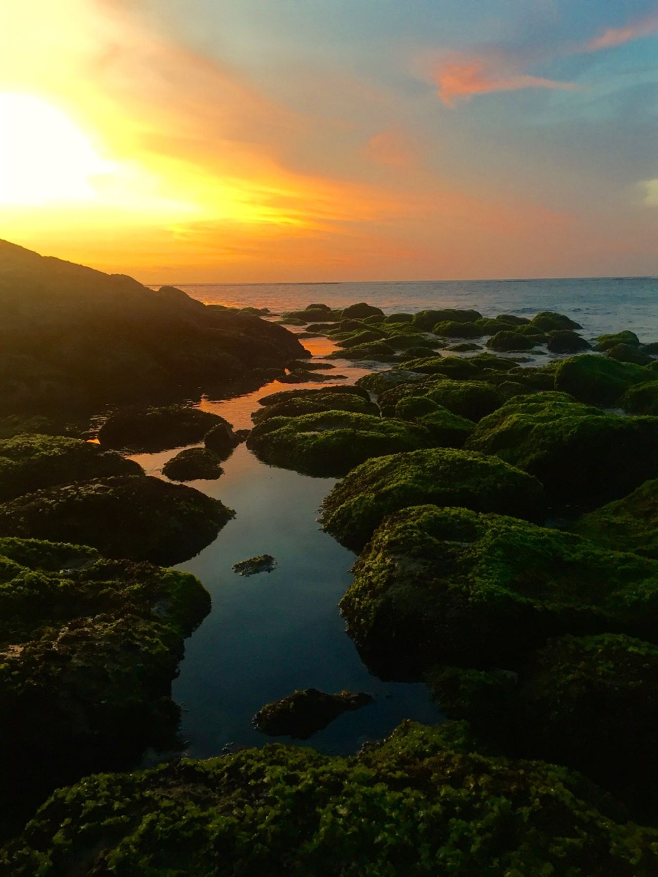Moss-covered rocks at sunset. Sky reflected in water.