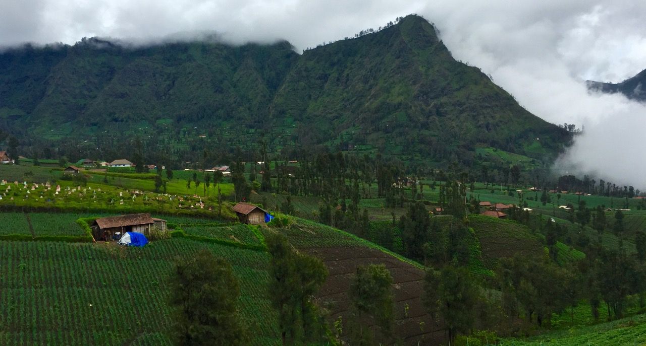 Rolling hills leading to green-covered mountains in the clouds.