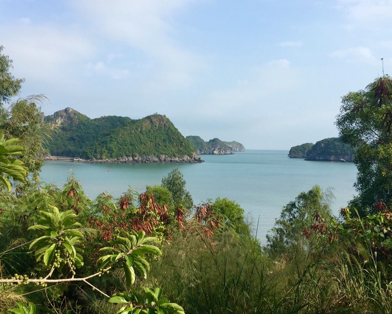 View of Cat Ba Harbor from higher ground.