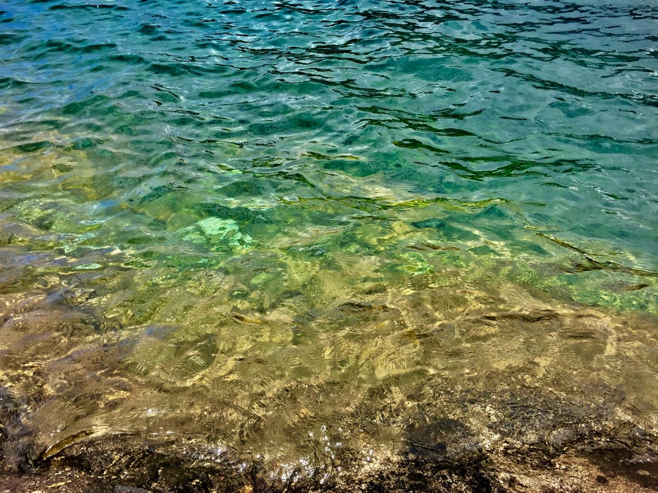 Clear water with lake bottom visible beneath.