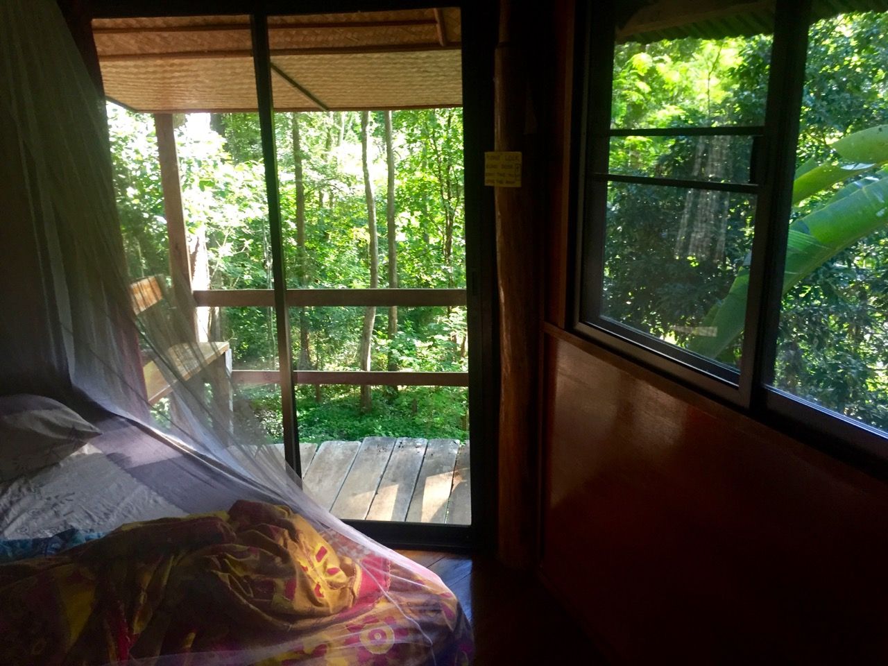 Inside a bedroom looking out into the treetops.