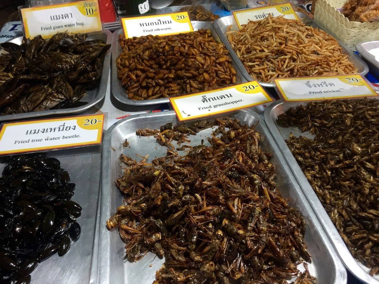 Fried insects and worms at the Sunday market.