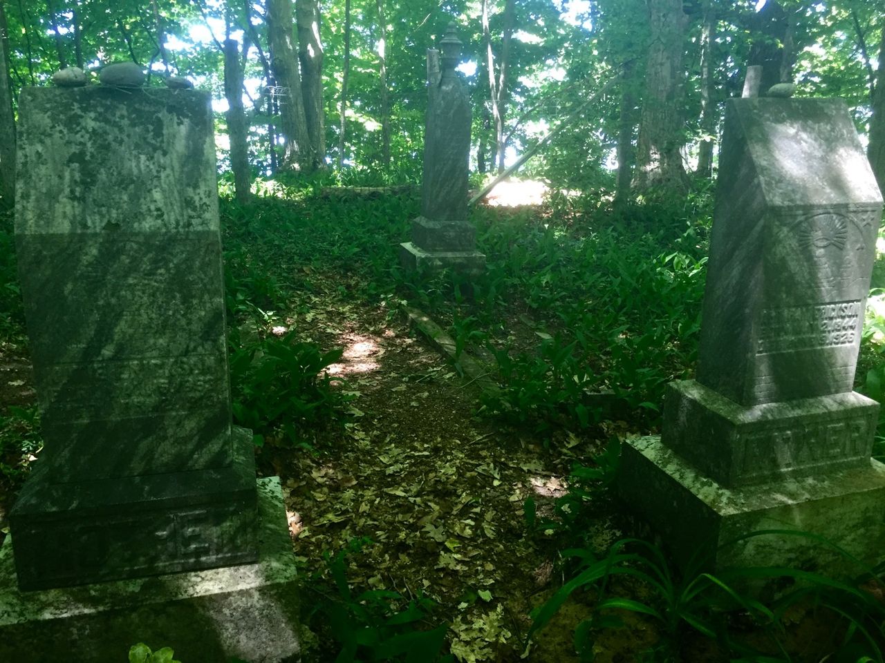 Cemetery in the woods.