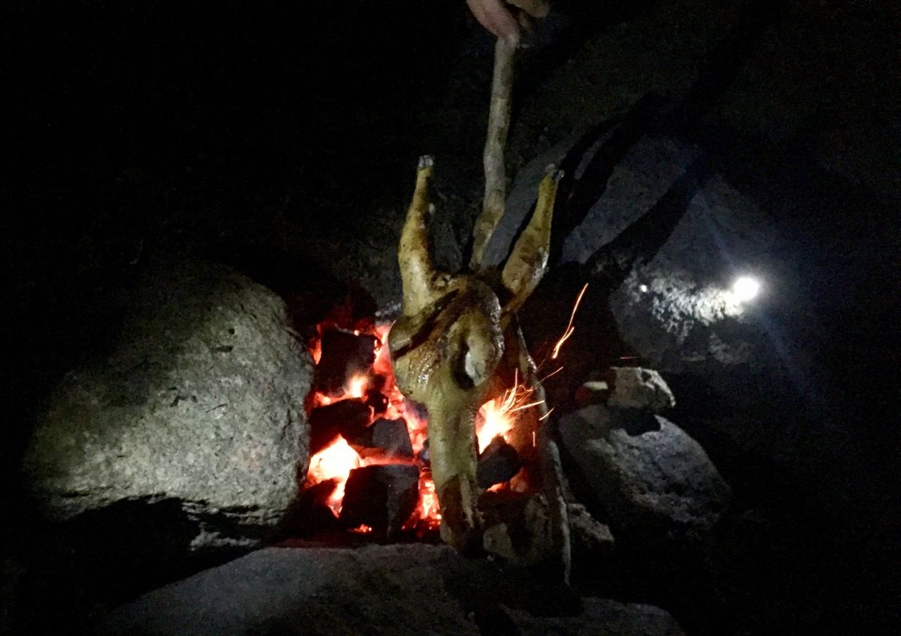 Chicken roasting over a fire.