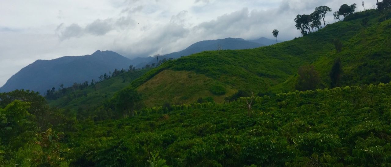 Mountains with the tops obscured by clouds.