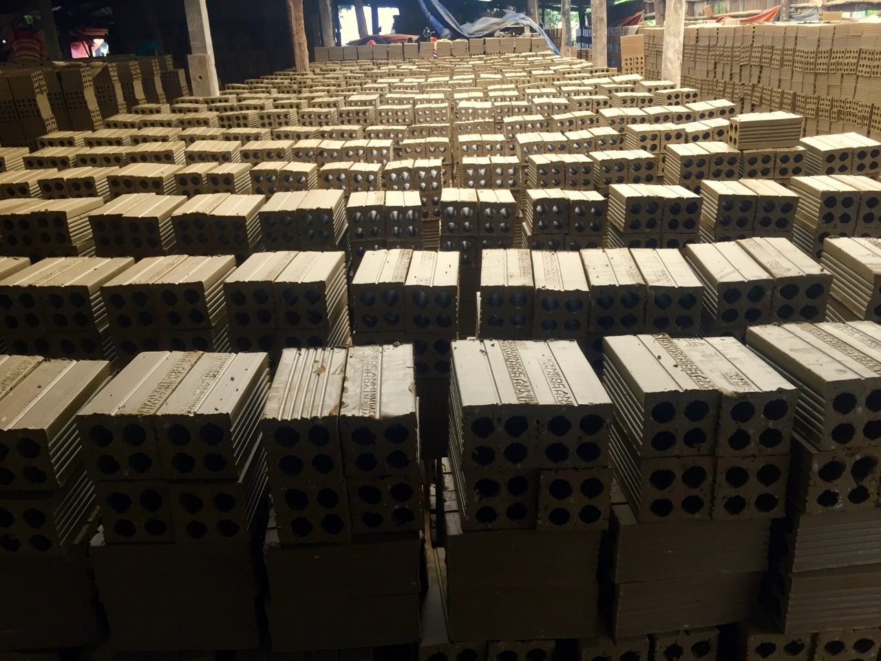 Rows of clay bricks before they have been baked.