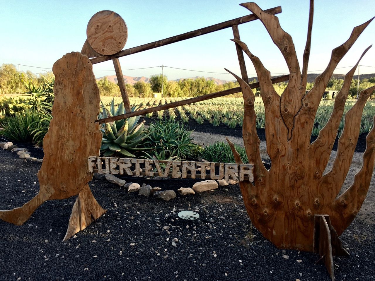 Welcome sign for aloe vera plantation.