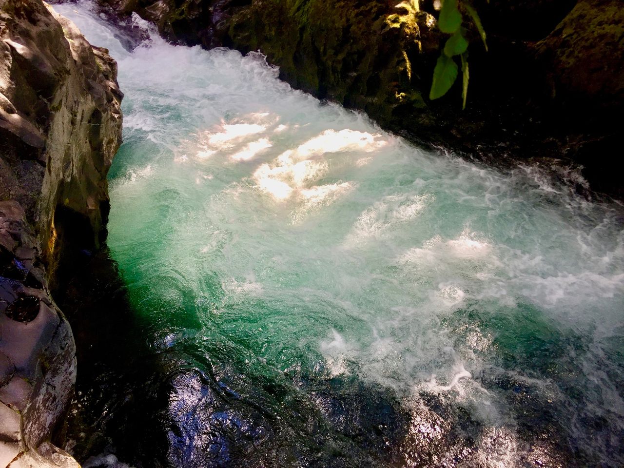 A pool of water glowing with green as the sun shines into it.