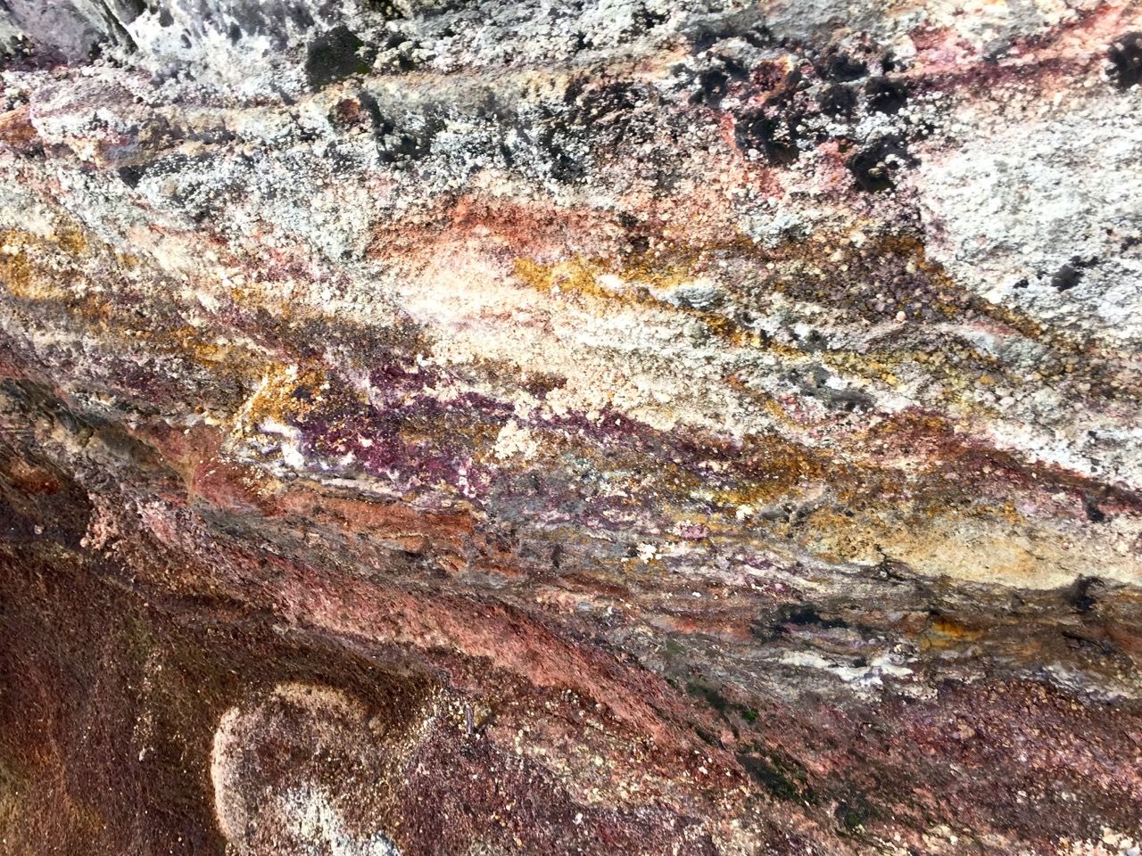 Multi-colored layers of rock on the trail down.