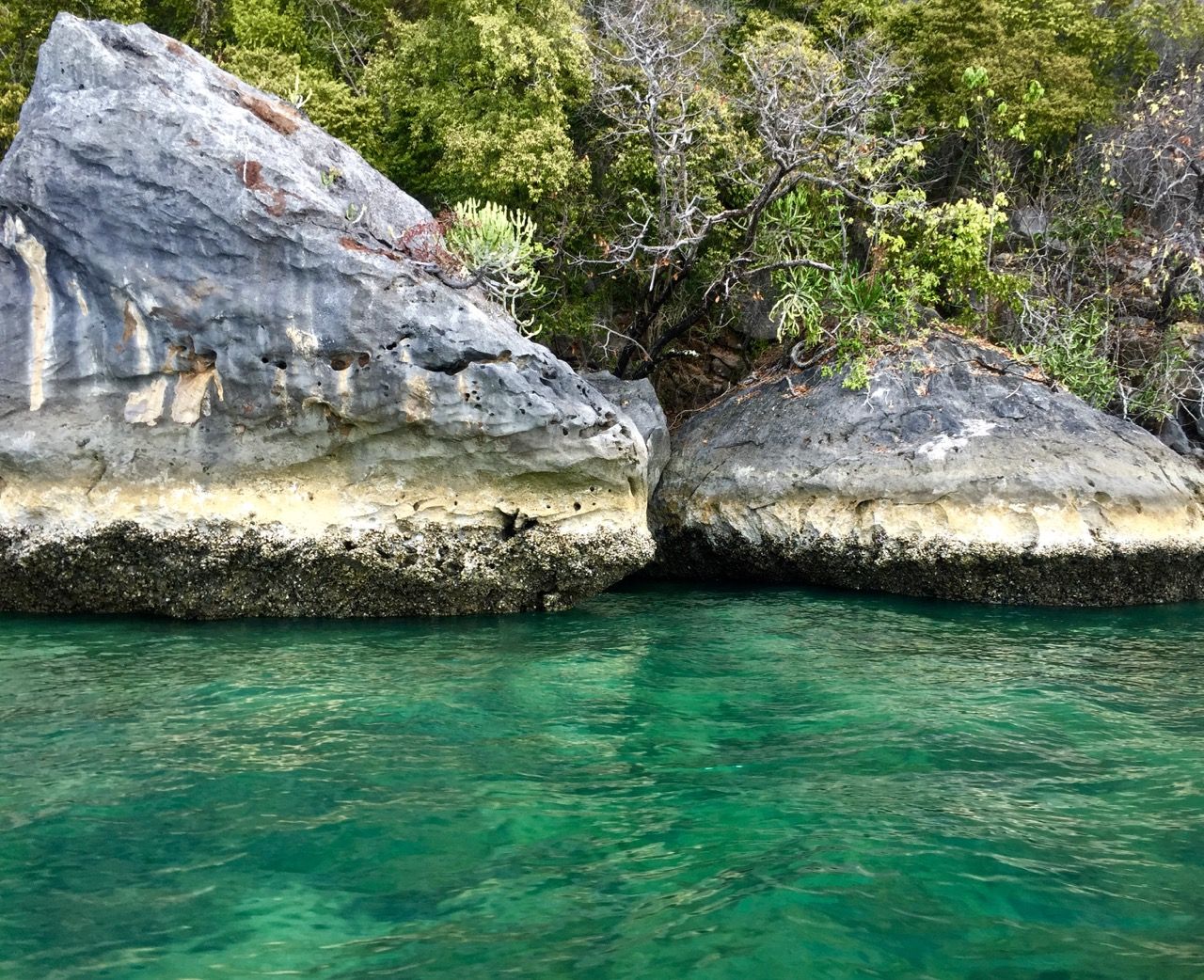 Rocks with water marks and dead coral.