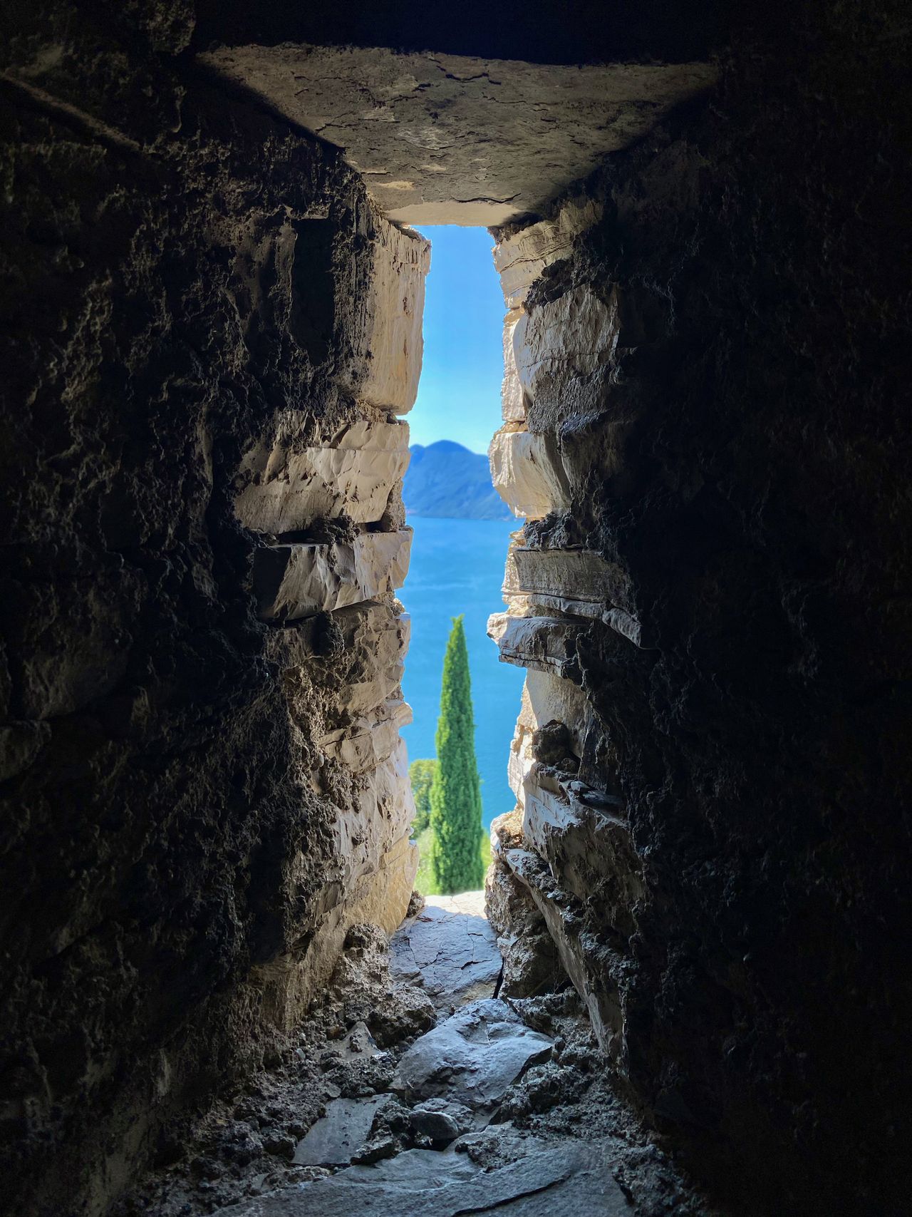 Looking through an archer's slot to a cyprus tree with the lake behind it.