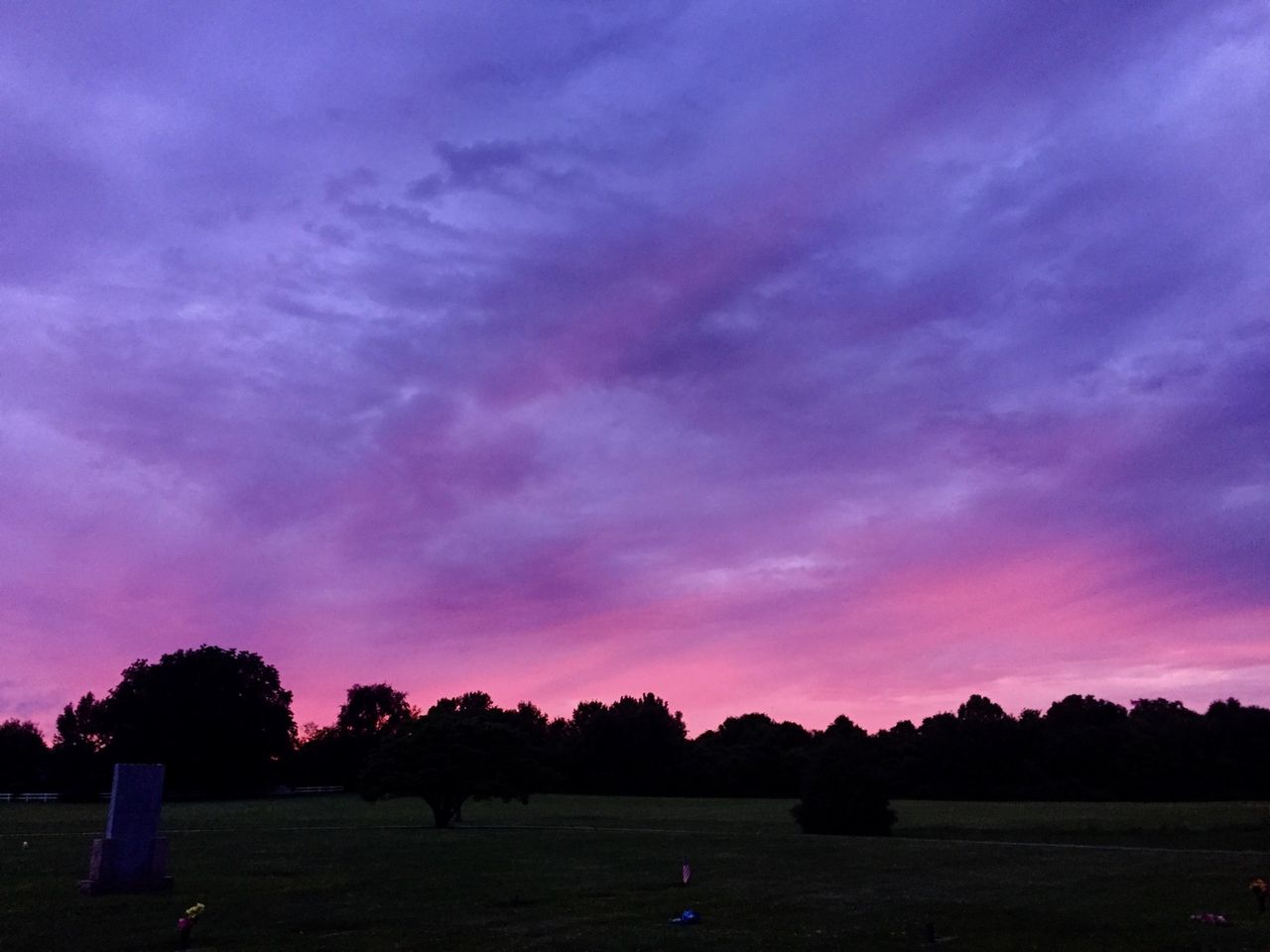 Pink and purple sky with trees on the horizon.