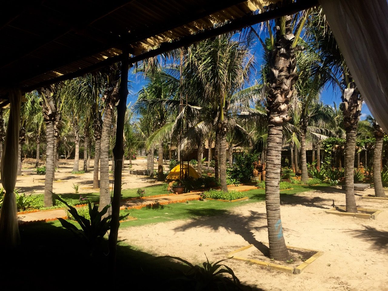 A maintained campground with palm trees and pathways.
