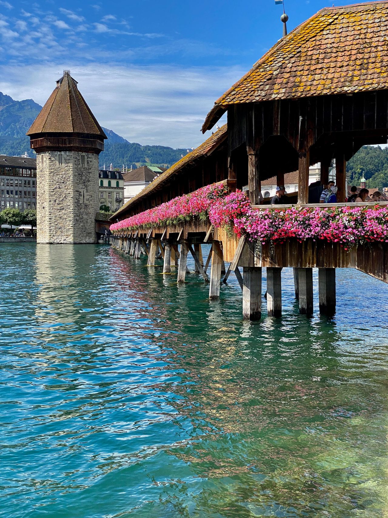 A tower and wooden bridge completely adorned with pink flowers along its entire length.