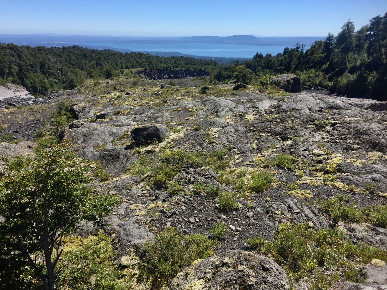 Looking toward the lake.