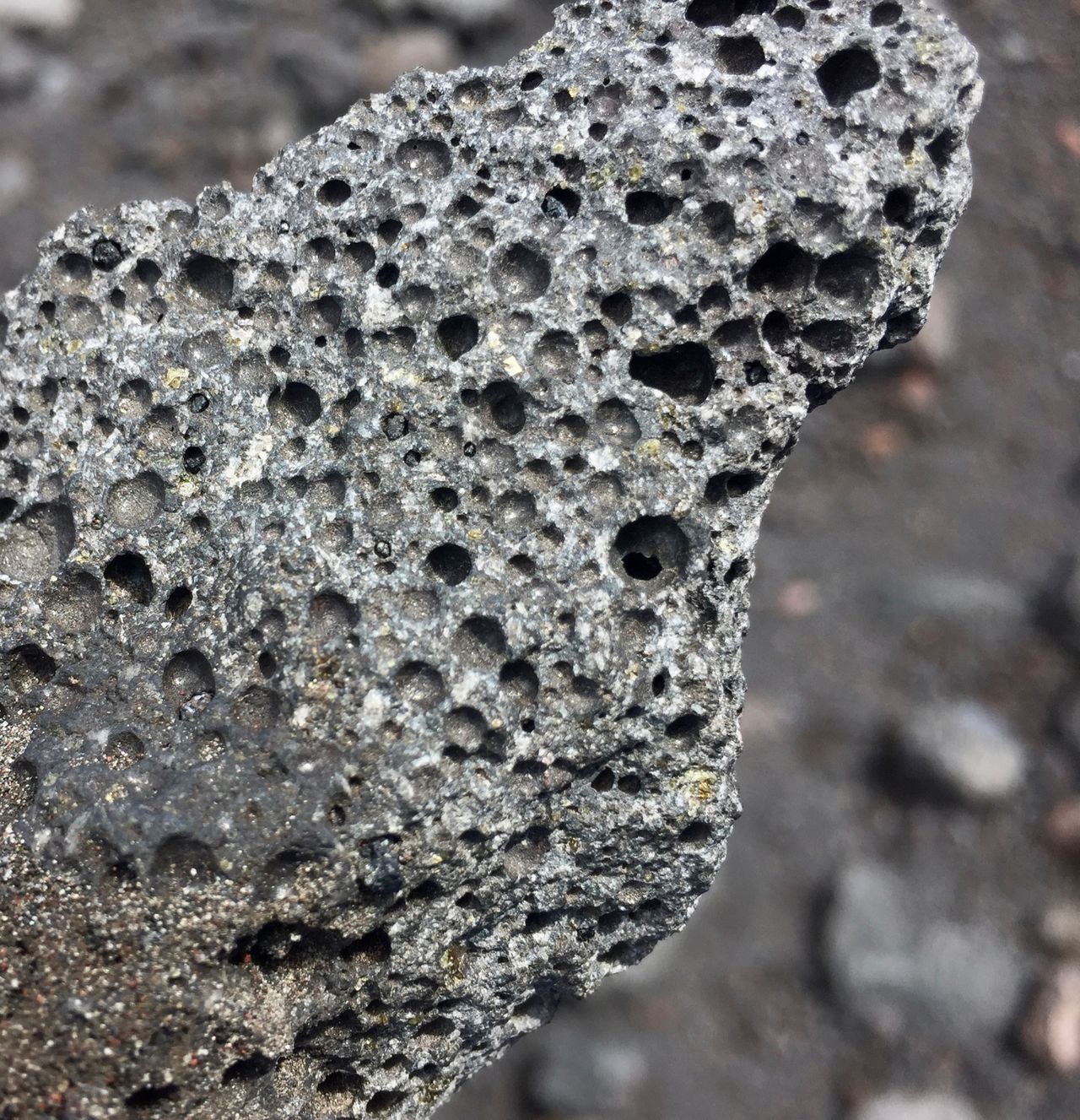 Silvery lava rock