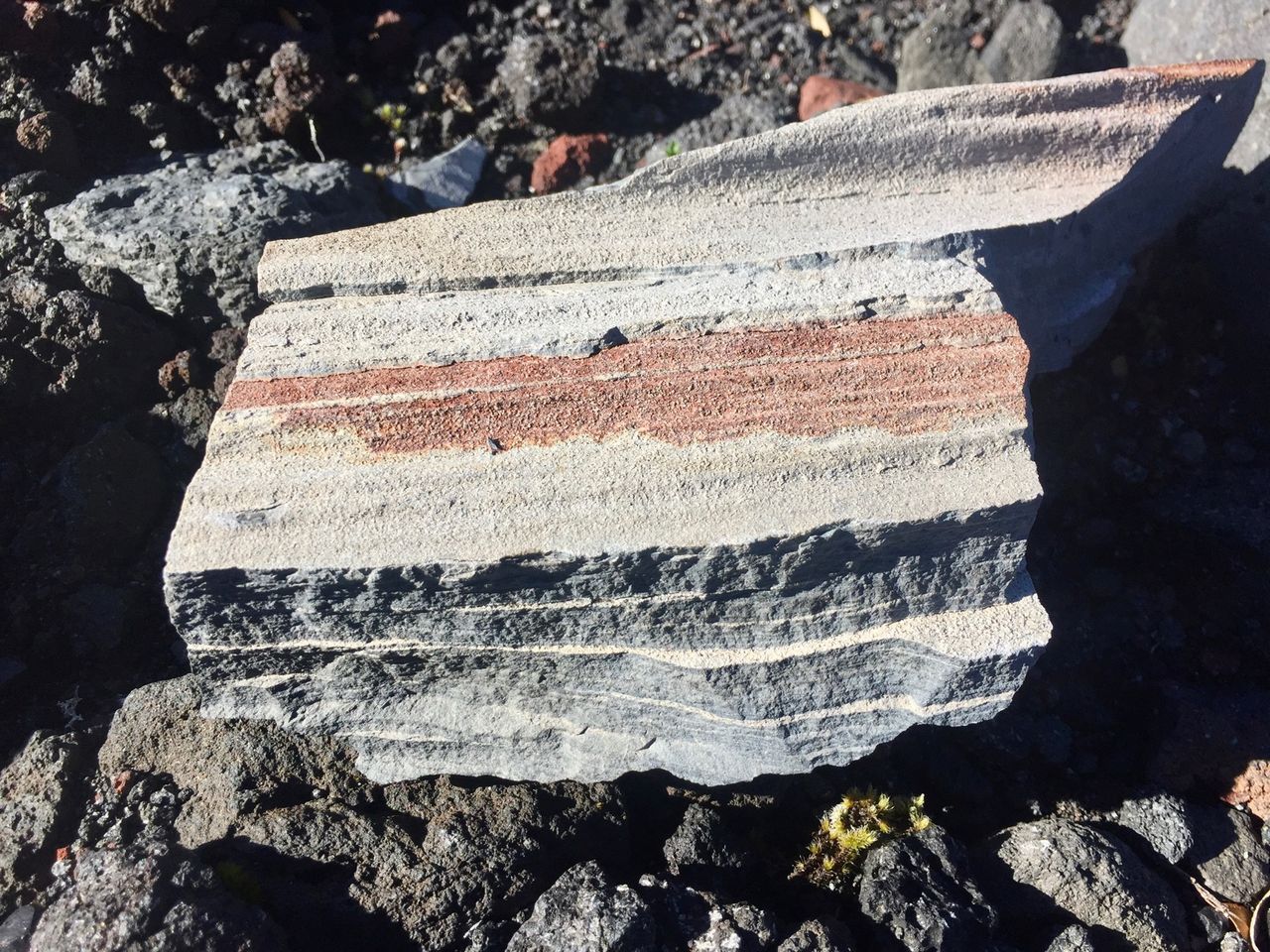 Sheet rock fragment with many layers.
