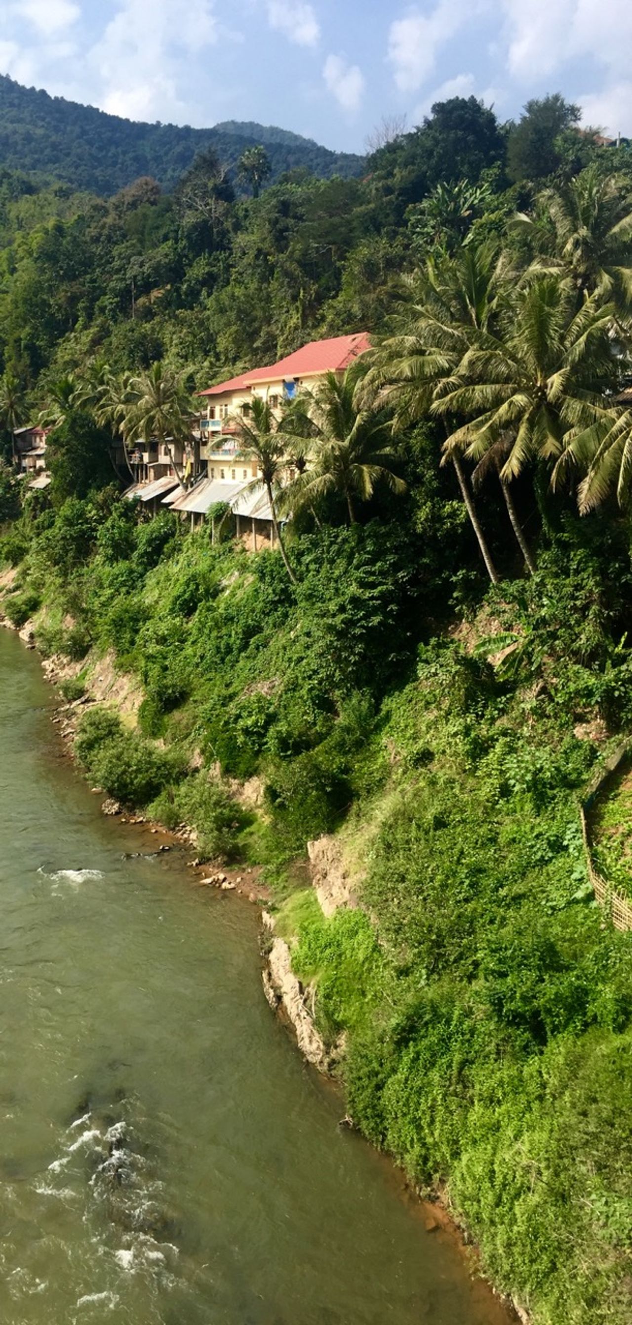 Houses along a river with a steep bank.