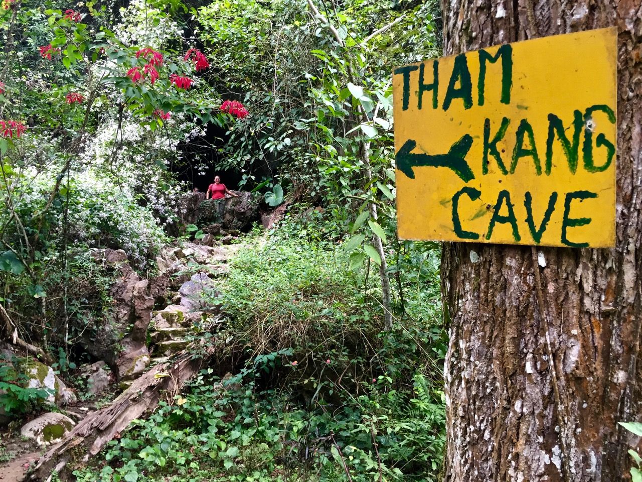 A sign pointing to a cave in a forest.