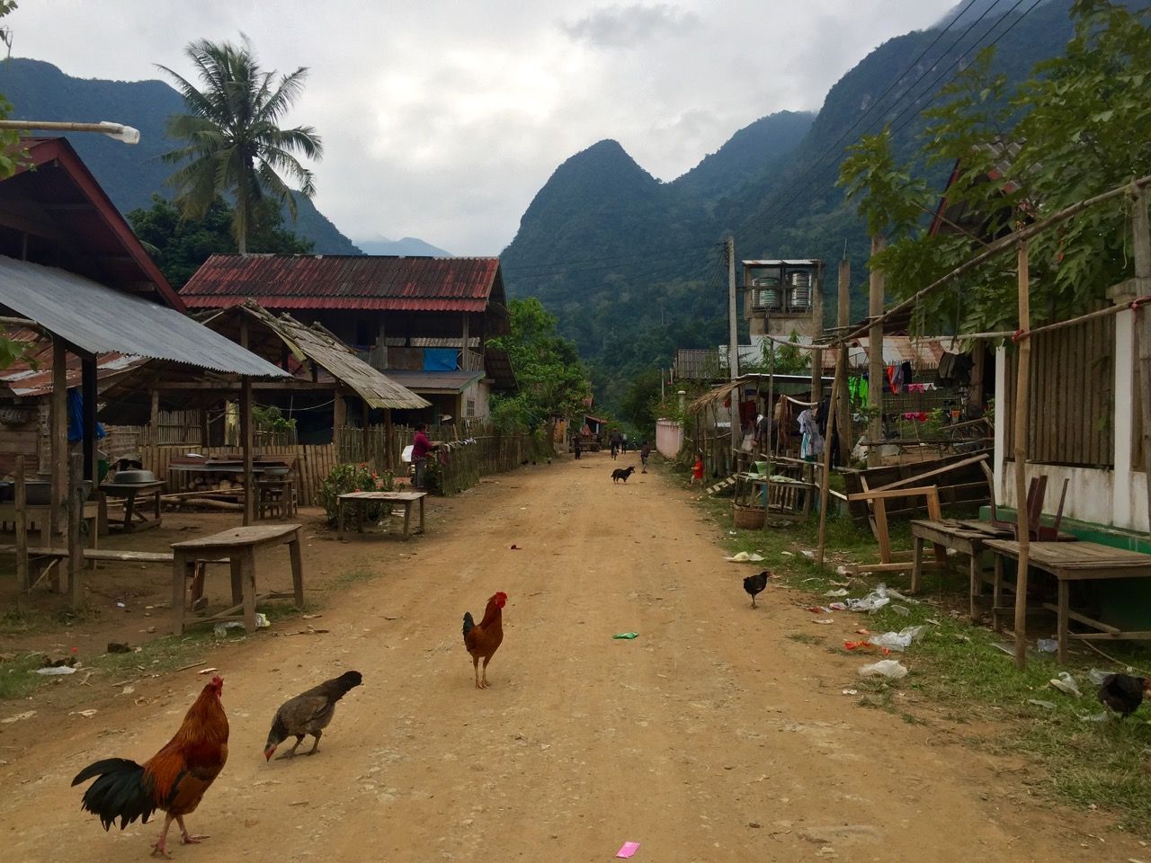 An empty market filled with chickens.