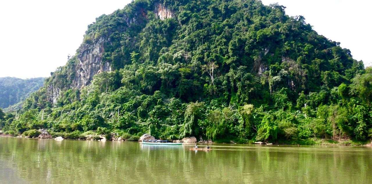 People kayaking near a tree-covered mountain.