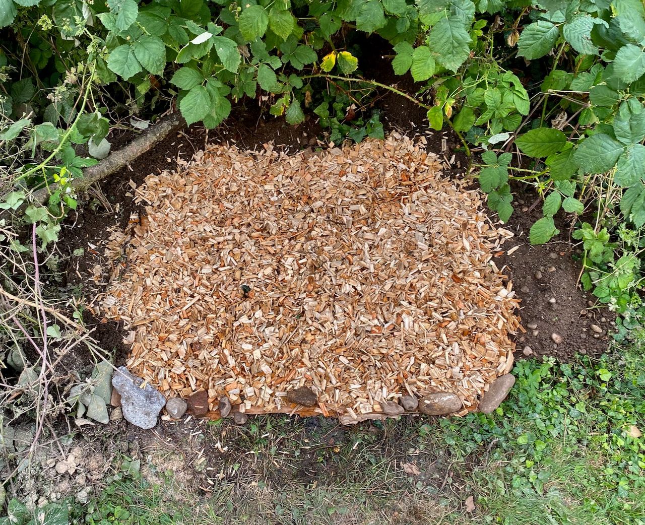 The hole in the ground is totally covered with fresh wood chips, such that nothing else is visible except for the very corners of cardboard.