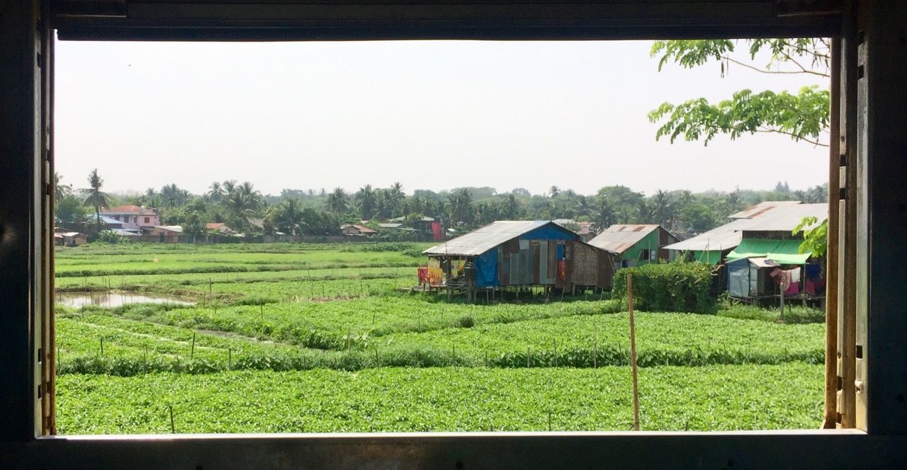 Looking out the window of a train showing green countryside.