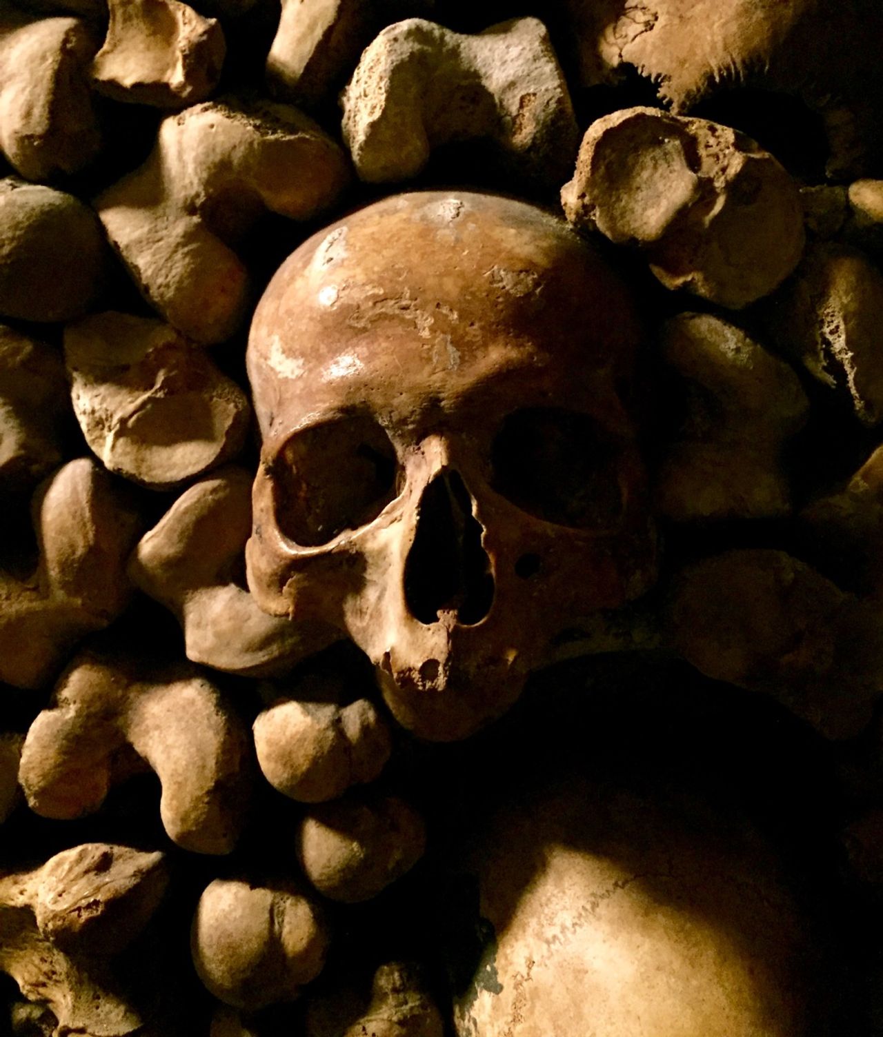 A skull amongst other bones in the catacombs
