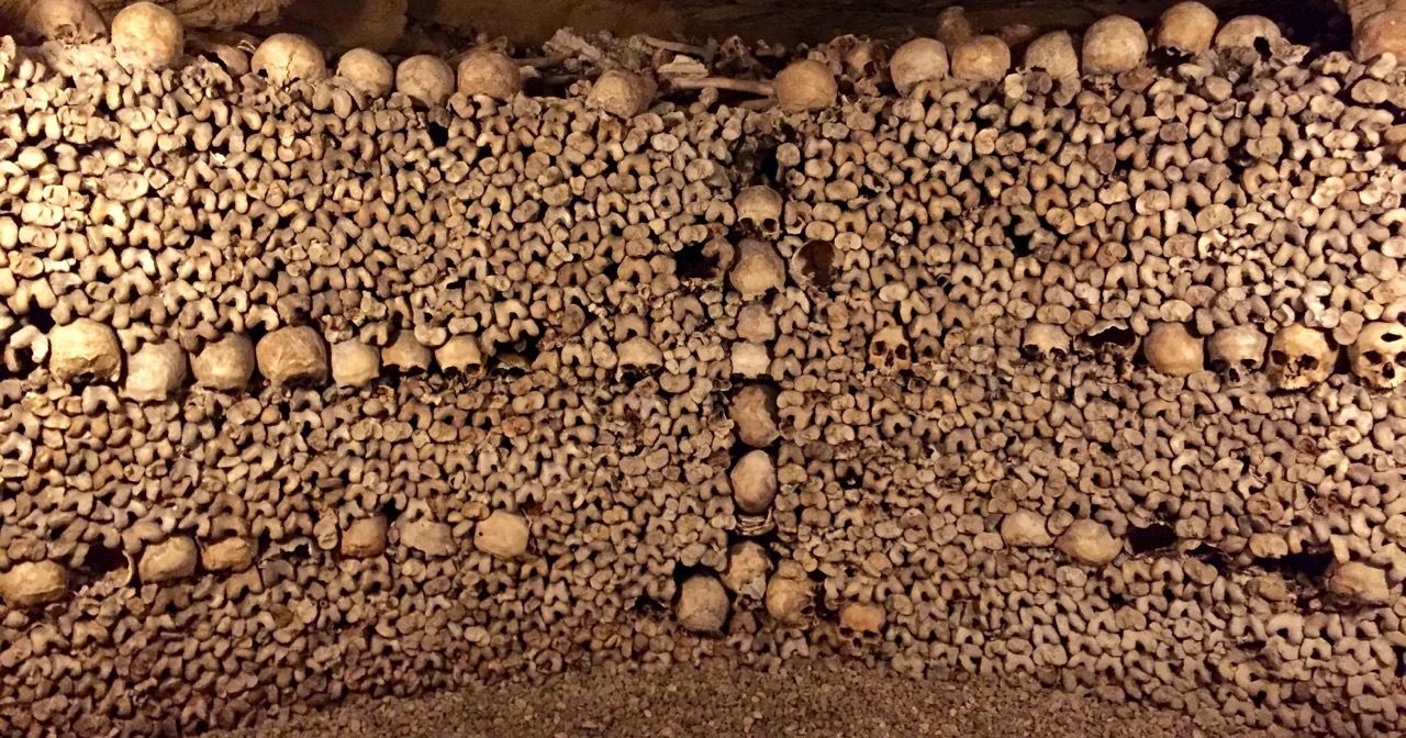 A wall of skulls and bones piled up in an orderly fashion.