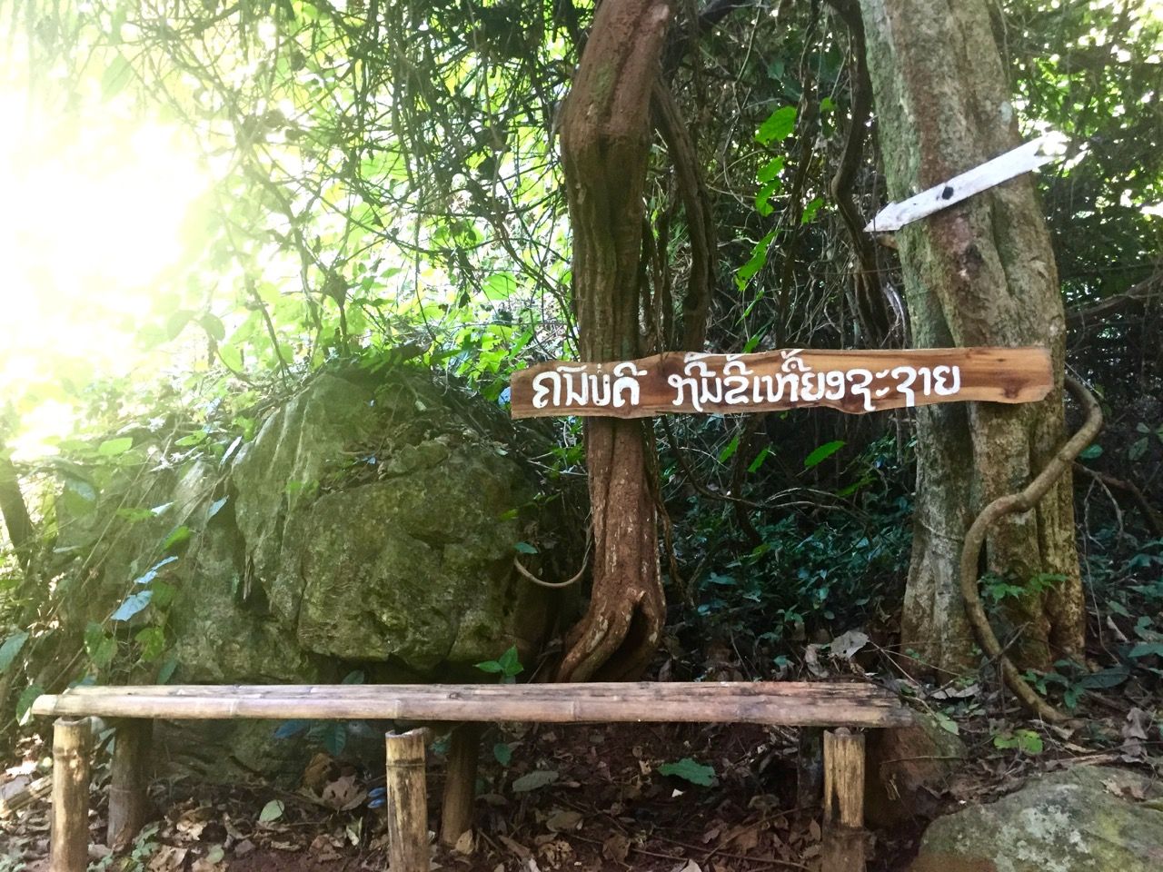 Benches with signs in only Lao.