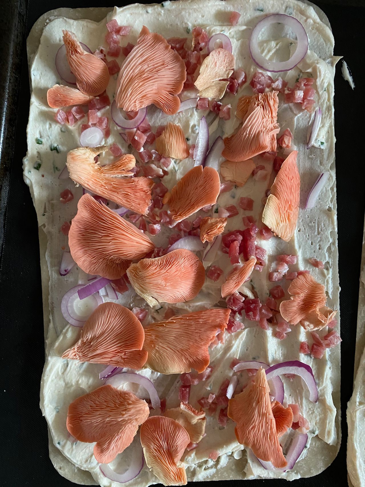 Pink oyster mushrooms picked apart and placed on top of an unbaked flatbread pizza that also has cream cheese, red onions, and bacon cubes.