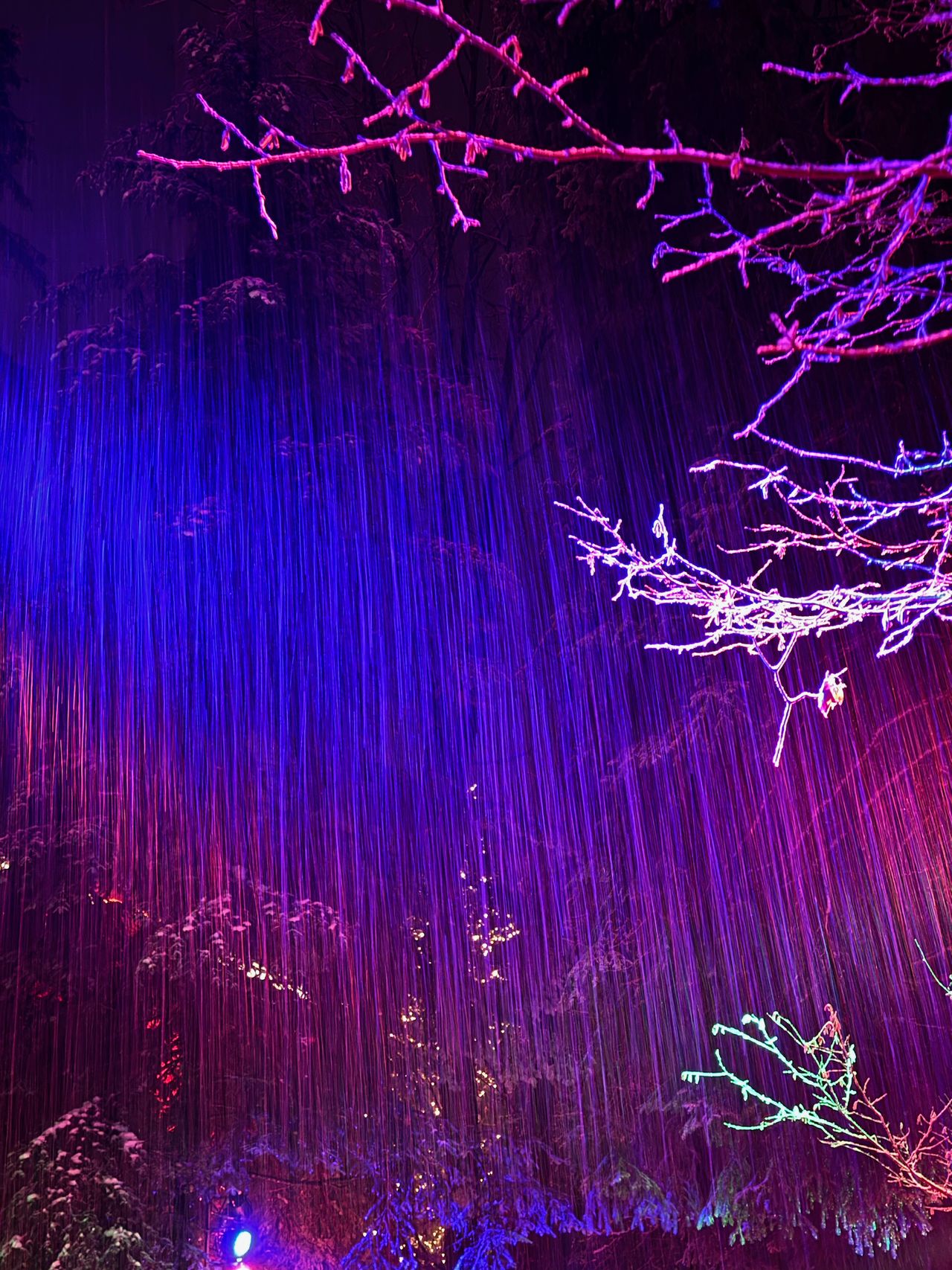 Long exposure of the night sky with streaks of snow fall.