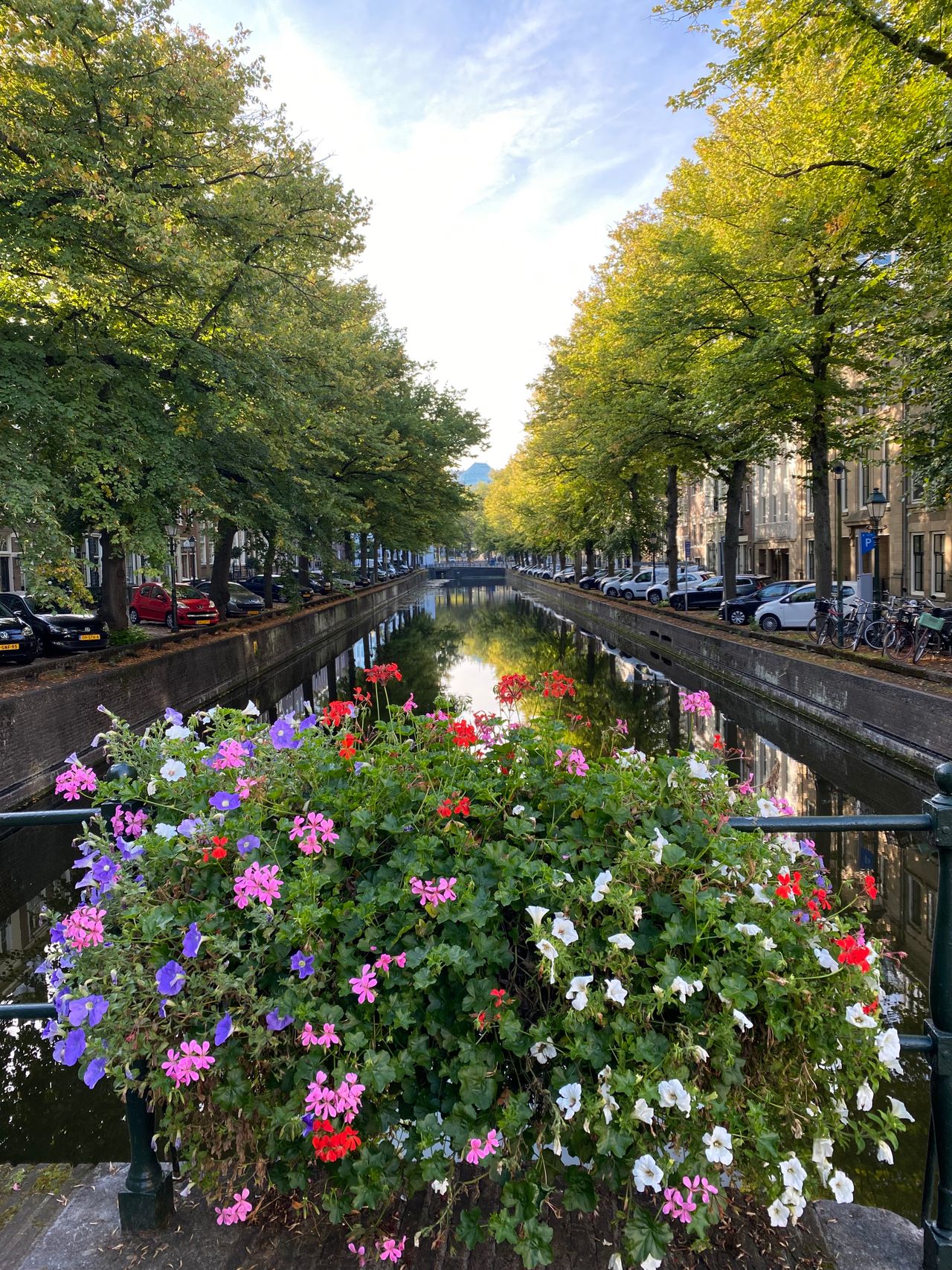 A flower bush in the foreground with a classic tree-lined Dutch canal in the background.