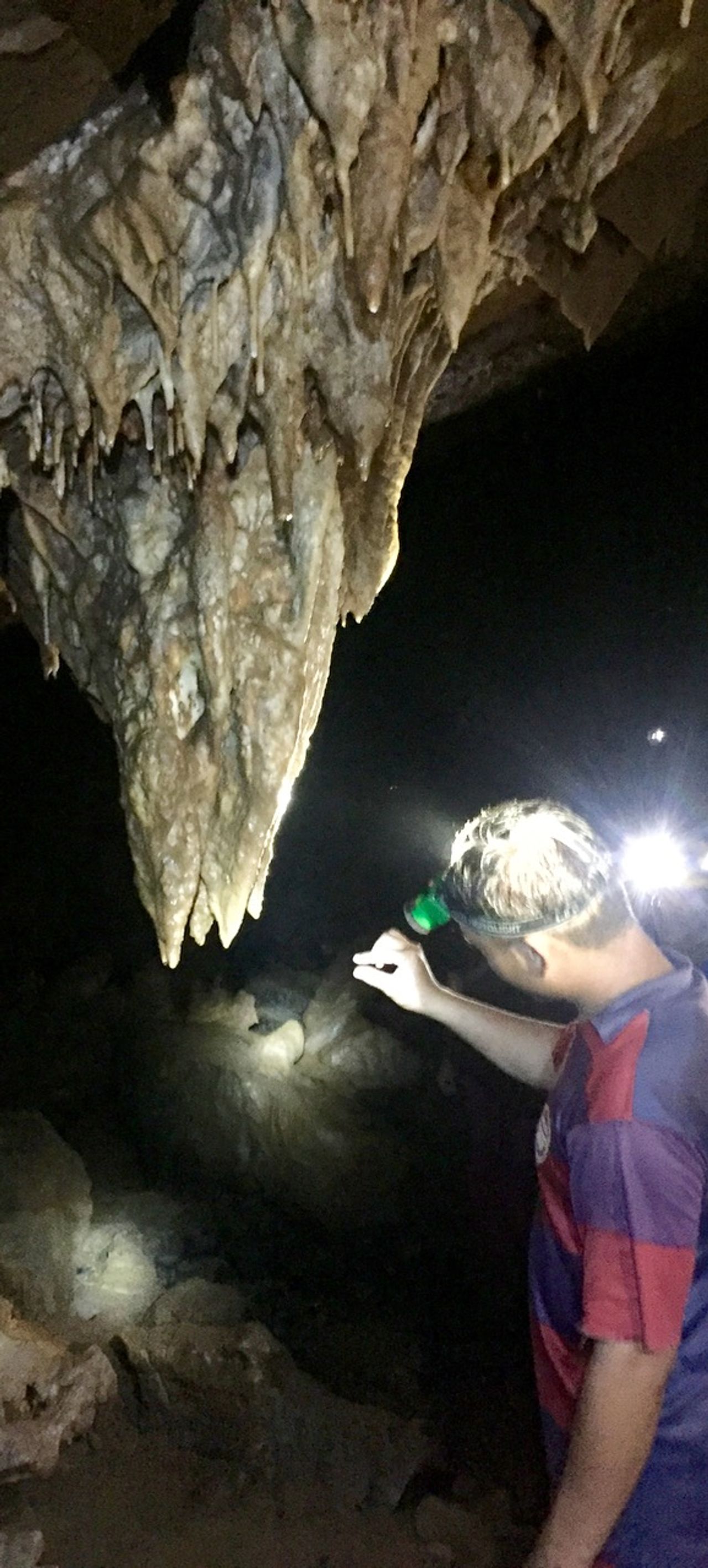 Man looking at a large stalagtite formation.