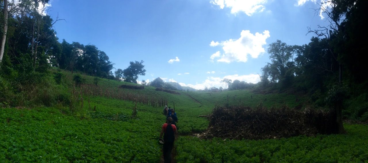 Panoramic of green Thai country side.