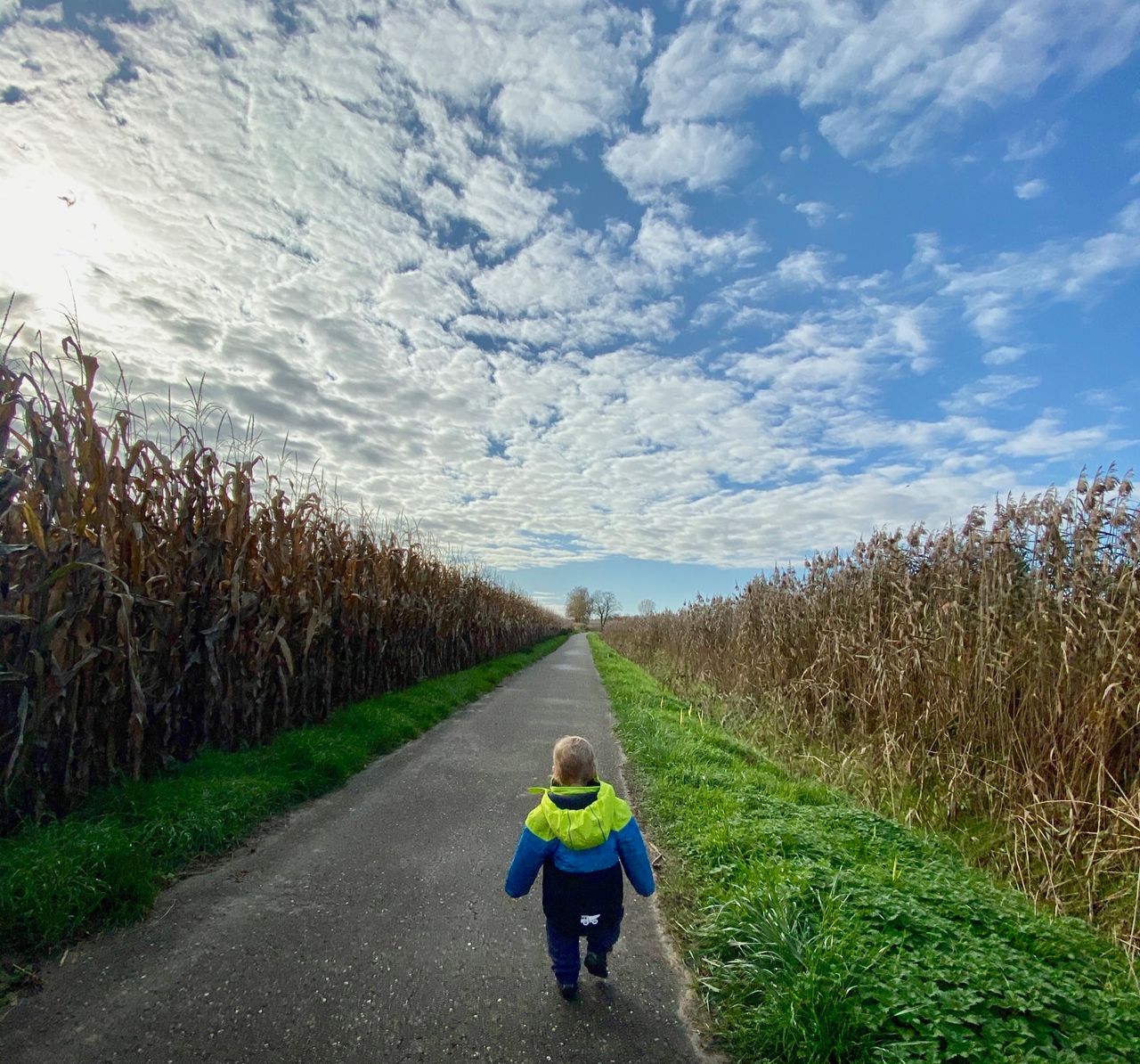 Boy running along a paved farm road.