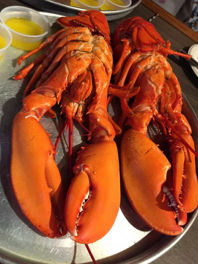 Presidential Lobster in Kennebunkport, Maine Chris Ruppel